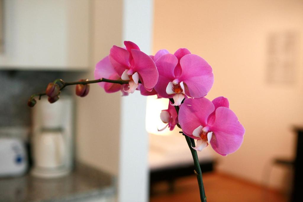La Scala Apartments Wien Ngoại thất bức ảnh